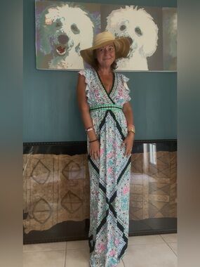 Lilly Pulitzer Roselle maxi dress Size 0 Long New